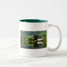 St. Finbarrs Oratory gouganebarra Mug