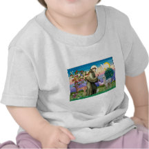 St Francis and Llama Baby T-shirts