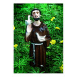 St. Francis ATC Business Card Templates