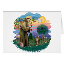 St francis (ff) - Tabby Tiger cat Greeting Cards