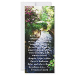 St. Francis of Assisi about FAITH rack cards