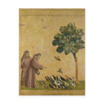 St. Francis of Assisi preaching to the birds Postcards