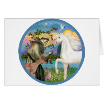St Francis - White Arabian Horse Cards