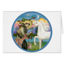 St Francis - White Arabian Horse Cards