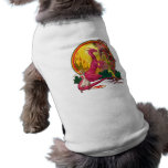 St.George and the Dragon pet clothing