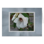 St.Helena Cards