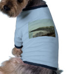 St. Ives, Porthminster Beach, Cornwall, England cl pet clothing