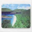 St John, US Virgin Islands Beach View mousepads
