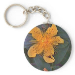 St John's Wort Key Chains