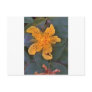 St John's Wort Post Card