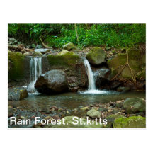 St.kitts Rain Forest Post Card