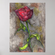 St. Louis Rose Poster