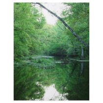 St. Marks River Personalized Flyer