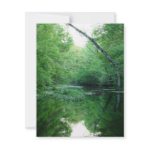 St. Marks River Custom Announcements