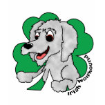 St Paddy's Day Irish Wolfhound Women's TShirt
