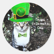 ST PATRICK'S  DAY CAT  WITH LEPRECHAUN HAT ROUND STICKERS