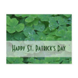 St. Patricks Day Collection postcards