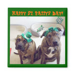 St. Patrick's Day Dog Magnet