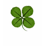 St. Patrick's Day Four Leaf Clover t-shirts