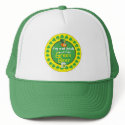 St. Patrick's Day Hat
