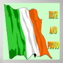 St Patrick's Day Irish Flag Poster posters