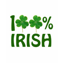 St. Patricks Day Parade South Side Chicago Tee Shirts