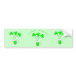 St. Patrick's Day Secrets of brewing and malting Bumper Stickers