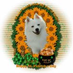 St Patricks - Pot of Gold - American Eskimo Photo Sculptures