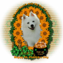St Patricks - Pot of Gold - American Eskimo