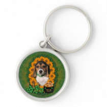 St Patricks - Pot of Gold - Beagle - Puppy