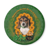 St Patricks - Pot of Gold - Beagle - Puppy