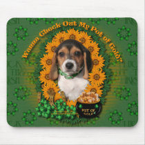 St Patricks - Pot of Gold - Beagle - Puppy