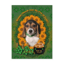 St Patricks - Pot of Gold - Beagle - Puppy