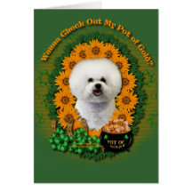 St Patricks - Pot of Gold - Bichon Frise Greeting Card
