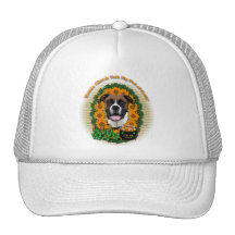 St Patricks - Pot of Gold - Boxer - Vindy Trucker Hat