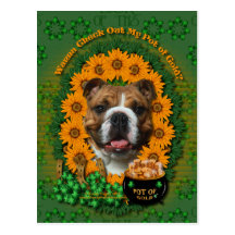 St Patricks - Pot of Gold - Bulldog Post Card