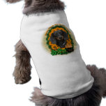 St Patricks - Pot of Gold - Dachshund - Winston pet clothing
