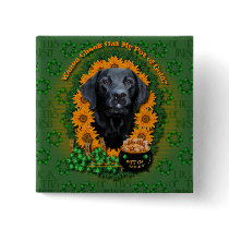 St Patricks - Pot of Gold - Labrador - Black -Gaug
