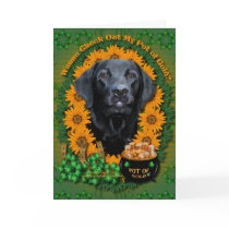 St Patricks - Pot of Gold - Labrador - Black -Gaug