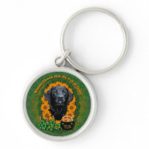 St Patricks - Pot of Gold - Labrador - Black -Gaug