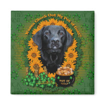 St Patricks - Pot of Gold - Labrador - Black -Gaug