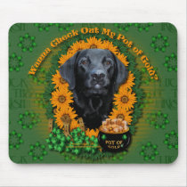 St Patricks - Pot of Gold - Labrador - Black -Gaug