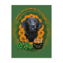 St Patricks - Pot of Gold - Labrador - Black -Gaug