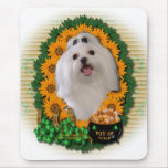 St Patricks - Pot of Gold - Maltese Mousemats