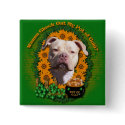 St Patricks - Pot of Gold - Pitbull - Jersey Girl buttons