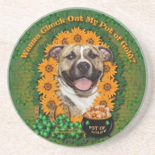 St Patricks - Pot of Gold - Pitbull - Tigger Beverage Coasters