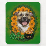 St Patricks - Pot of Gold - Pitbull - Tigger Mouse Pad