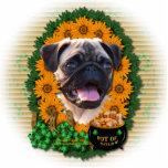 St Patricks - Pot of Gold - Pug photo sculptures
