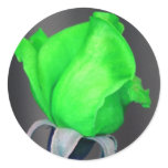 St. Patrick's Rose stickers