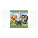 St Patricts Day Doxies photo cards